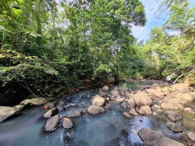 dijual tanah kebun murah los sungai jernih dengan view sawah dan gunung di tabanan bali - Thumbnail 4