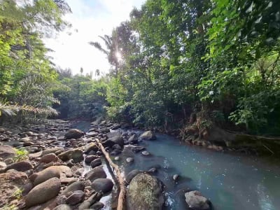 dijual tanah kebun murah los sungai jernih dengan view sawah dan gunung di tabanan bali - Thumbnail 3
