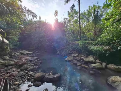 dijual tanah kebun murah los sungai jernih dengan view sawah dan gunung di tabanan bali - Thumbnail 2