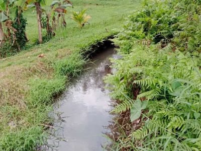 Tanah Perkebunan Durian - Thumbnail 4