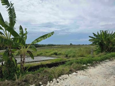 Dijual tanah kecil murah dekat pantai pasut tabanan bali - Thumbnail 5
