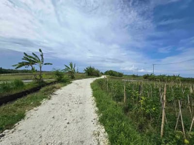 Dijual tanah kecil murah dekat pantai pasut tabanan bali - Thumbnail 3