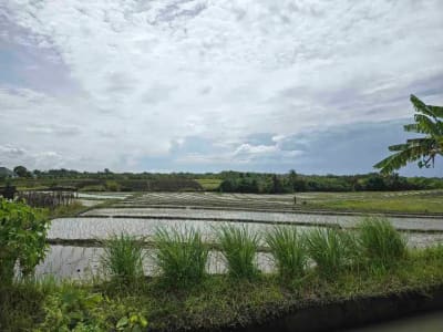 Dijual tanah kecil murah dekat pantai pasut tabanan bali - Thumbnail 4