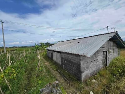 Dijual tanah kecil murah dekat pantai pasut tabanan bali - Thumbnail 10