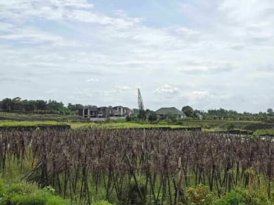 Dijual tanah kecil murah dekat pantai pasut tabanan bali - Thumbnail 9