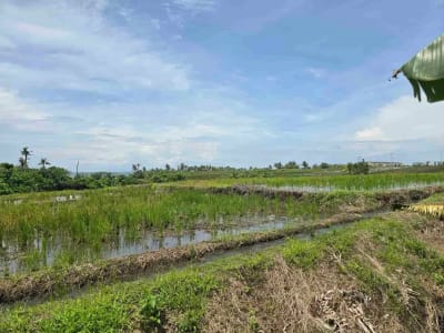 dijual tanah kecil dekat pantai pasut tabanan bali - Thumbnail 2