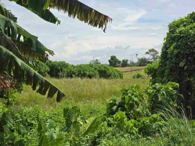dijual tanah kecil dekat pantai pasut tabanan bali - Thumbnail 4