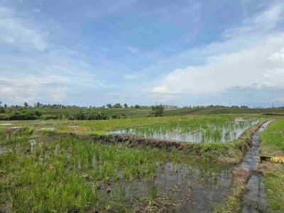 dijual tanah kecil dekat pantai pasut tabanan bali - Thumbnail 3