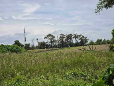 dijual tanah kecil dekat pantai pasut tabanan bali - Thumbnail 6