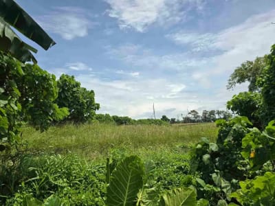 dijual tanah kecil dekat pantai pasut tabanan bali - Thumbnail 7