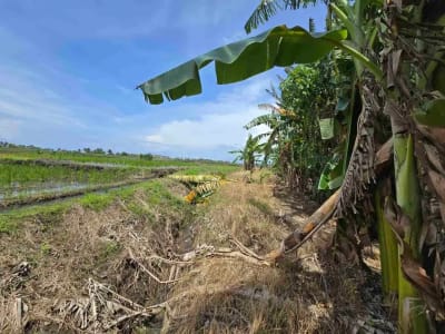 dijual tanah kecil dekat pantai pasut tabanan bali - Thumbnail 5