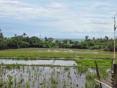 dijual tanah kecil dekat pantai pasut tabanan bali - Thumbnail 10