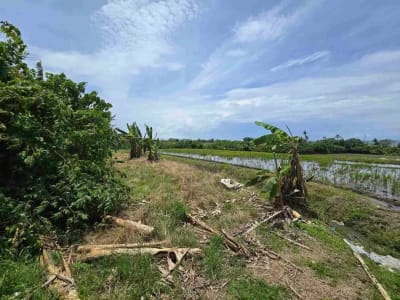 dijual tanah kecil dekat pantai pasut tabanan bali - Thumbnail 9