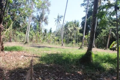 Tanah 1 Hektar View Sawah &amp; Sungai Strategis di Cempaka Tabanan - Thumbnail 8