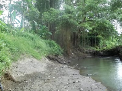 Tanah 1 Hektar View Sawah &amp; Sungai Strategis di Cempaka Tabanan - Thumbnail 5