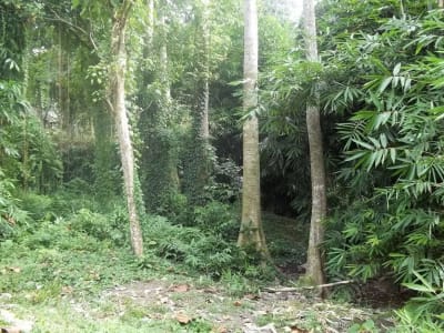 Tanah 1 Hektar View Sawah &amp; Sungai Strategis di Cempaka Tabanan - Thumbnail 4