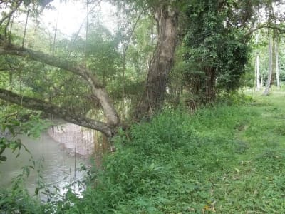 Tanah 1 Hektar View Sawah &amp; Sungai Strategis di Cempaka Tabanan - Thumbnail 2
