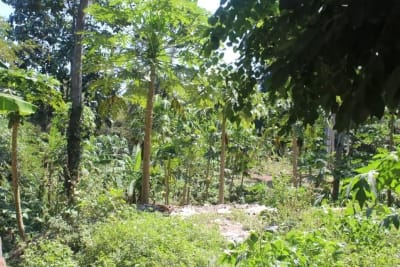 Tanah 1 Hektar View Sawah &amp; Sungai Strategis di Cempaka Tabanan - Thumbnail 10