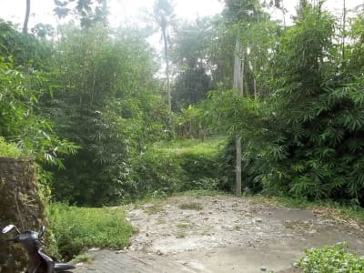 Tanah 1 Hektar View Sawah &amp; Sungai Strategis di Cempaka Tabanan - Thumbnail 9