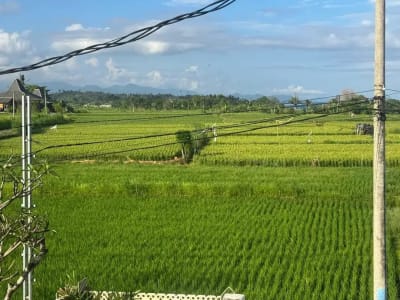 4/2 Are Exclusive Luxury Land at Pantai Rangkan – Ocean, Rice Field &amp; Mount Agung View - Thumbnail 4