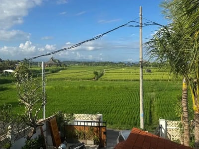 4/2 Are Exclusive Luxury Land at Pantai Rangkan – Ocean, Rice Field &amp; Mount Agung View - Thumbnail 2
