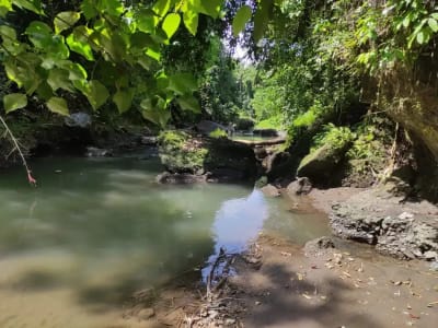 TANAH  STRATEGIS di  BY PASS IDA BAGUS MANTRA KETEWEL SUKAWATI BALI - Thumbnail 7