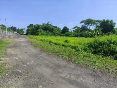 TANAH  STRATEGIS di  BY PASS IDA BAGUS MANTRA KETEWEL SUKAWATI BALI - Thumbnail 4