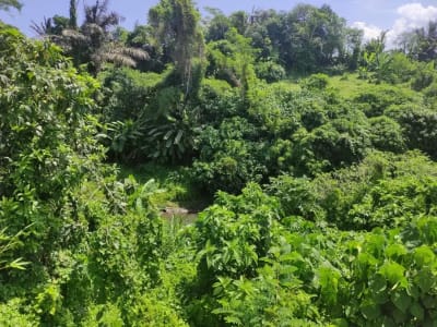 TANAH  STRATEGIS di  BY PASS IDA BAGUS MANTRA KETEWEL SUKAWATI BALI - Thumbnail 6