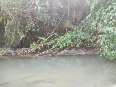 TANAH  STRATEGIS di  BY PASS IDA BAGUS MANTRA KETEWEL SUKAWATI BALI - Thumbnail 8