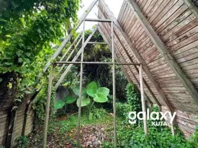 DIJUAL TANAH JUNGLE VIEW DEKAT RS SANJIWANI DI BITERA GIANYAR - Thumbnail 5