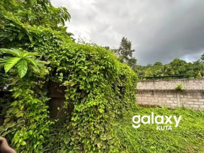 DIJUAL TANAH JUNGLE VIEW DEKAT RS SANJIWANI DI BITERA GIANYAR - Thumbnail 8