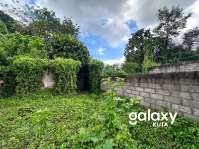 DIJUAL TANAH JUNGLE VIEW DEKAT RS SANJIWANI DI BITERA GIANYAR - Thumbnail 3