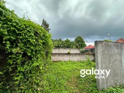 DIJUAL TANAH JUNGLE VIEW DEKAT RS SANJIWANI DI BITERA GIANYAR - Thumbnail 7