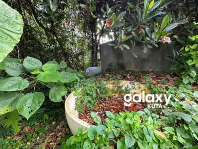 DIJUAL TANAH JUNGLE VIEW DEKAT RS SANJIWANI DI BITERA GIANYAR - Thumbnail 2