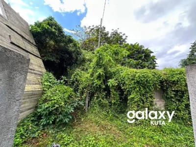 DIJUAL TANAH JUNGLE VIEW DEKAT RS SANJIWANI DI BITERA GIANYAR - Thumbnail 4