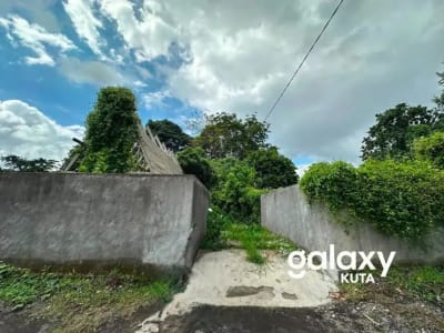 DIJUAL TANAH JUNGLE VIEW DEKAT RS SANJIWANI DI BITERA GIANYAR - Thumbnail 10