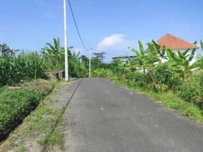 Tanah Kavling Kota Gianyar Dekat SMA Negeri 1 Gianyar - Thumbnail 4