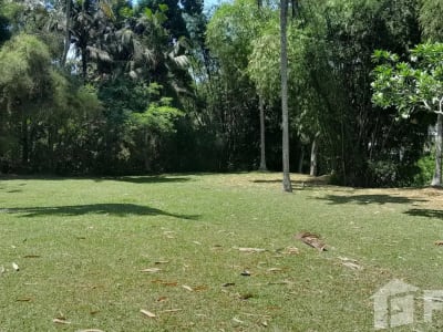Land for sale in Ubud, Bali - Thumbnail 4