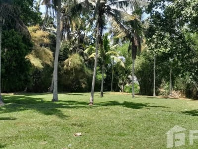 Land for sale in Ubud, Bali - Thumbnail 6