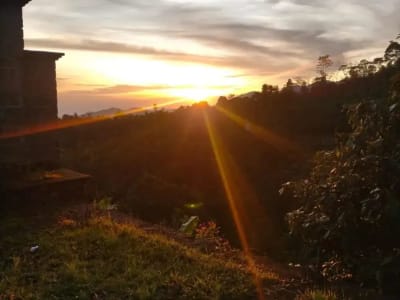 DIJUAL TANAH Pinggir jalan raya utama, kawasan wisata (rute Air Terjun Sekumpul-Pegayaman-Bedugul-Denpasar) - Thumbnail 3