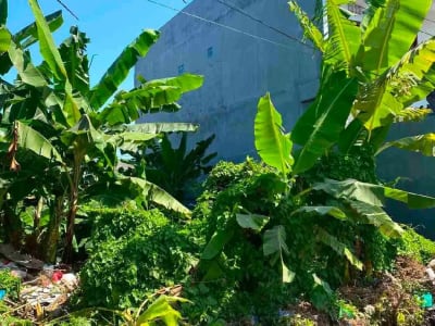 Jual Tanah Sudah Datar Luas 175m²/1.75are Jl Tukad Balian Denpasar Selatan Zona Kuning - Thumbnail 4