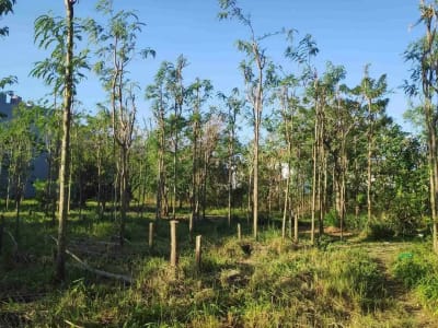 Tanah Kavling Cocok untuk Investasi, dibangun Rumah, Villa atau Guest House, Lokasi Strategis di Jimbaran, Badung dekat by pass - Thumbnail 6