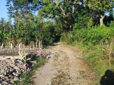 Tanah Kavling Cocok untuk Investasi, dibangun Rumah, Villa atau Guest House, Lokasi Strategis di Jimbaran, Badung dekat by pass - Thumbnail 2