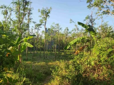 Tanah Kavling Cocok untuk Investasi, dibangun Rumah, Villa atau Guest House, Lokasi Strategis di Jimbaran, Badung dekat by pass - Thumbnail 3