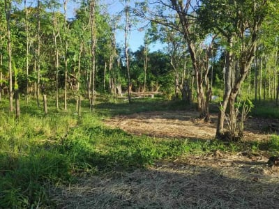 Tanah Kavling Cocok untuk Investasi, dibangun Rumah, Villa atau Guest House, Lokasi Strategis di Jimbaran, Badung dekat by pass - Thumbnail 8