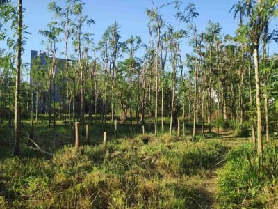 Tanah Kavling Cocok untuk Investasi, dibangun Rumah, Villa atau Guest House, Lokasi Strategis di Jimbaran, Badung dekat by pass - Thumbnail 9