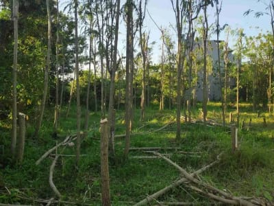 Tanah Kavling Cocok untuk Investasi, dibangun Rumah, Villa atau Guest House, Lokasi Strategis di Jimbaran, Badung dekat by pass - Thumbnail 10