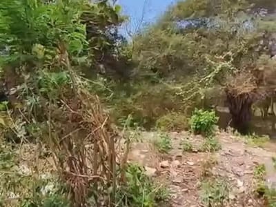 Tanah Kosong di Dekat Jalan Gunung Payung Kutuh - Thumbnail 9