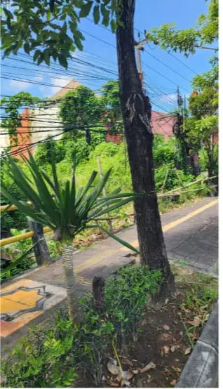 Tanah 50 Are di Jl Sunset Road Legian - Thumbnail 2