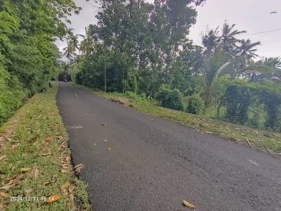 Tanah Zona Kuning Tidak LSD di Mambang Tabanan Bali - Thumbnail 1